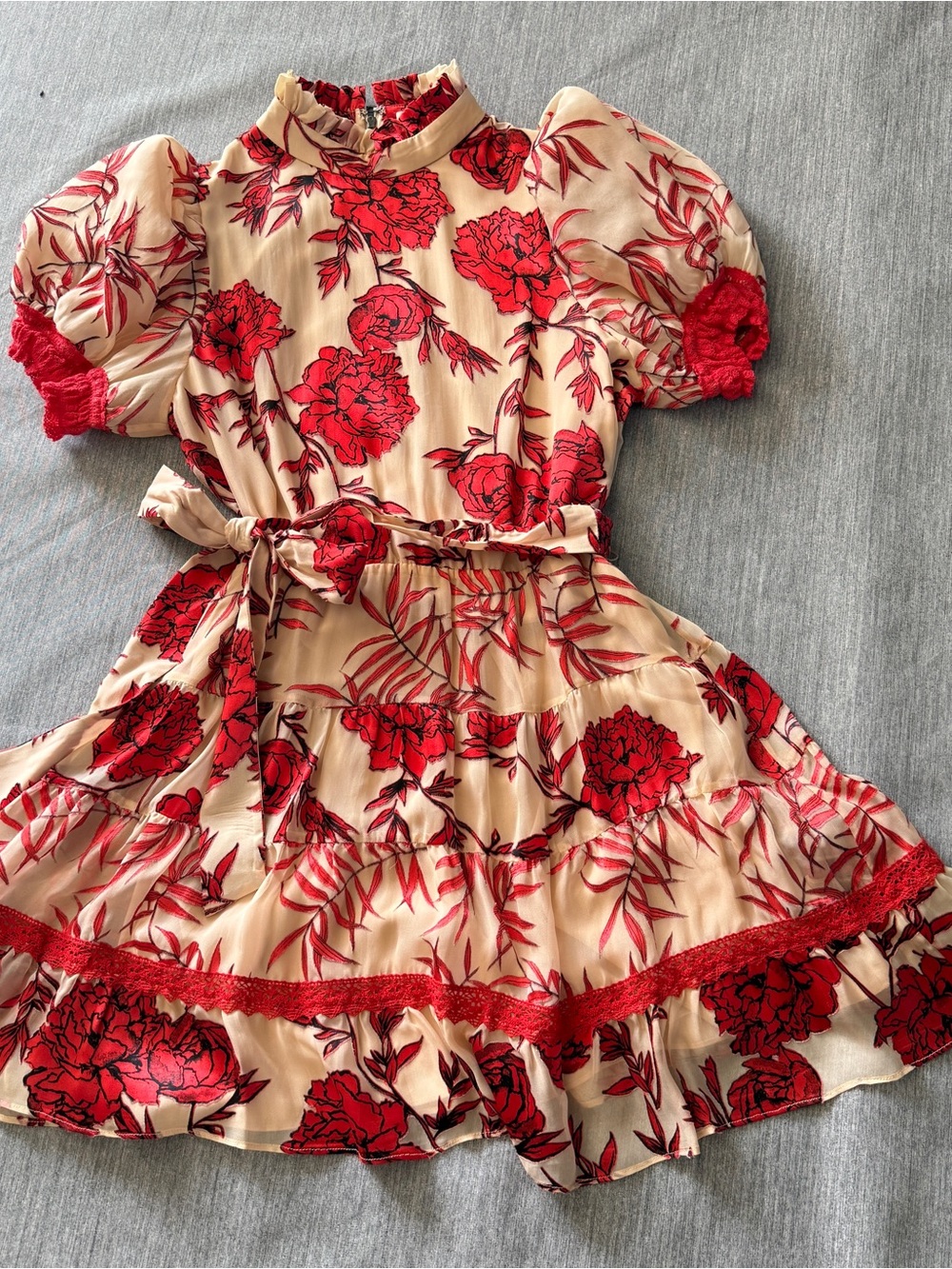 Alice + Olivia Regan Fil Coupé Chiffon Mini Dress size 4, NEW! - Picture 10 of 10